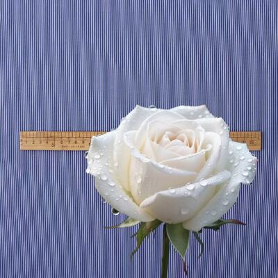 ผ้าคอตตอนย้อมสีลายทางทนทานสำหรับเสื้อเชิ้ตยูนิฟอร์มทางการ 110 แกรม