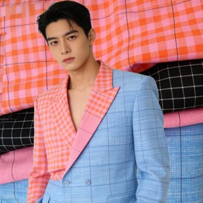 70% โพลีเอสเตอร์ 27% เรย์ออน 3% สปันเด็กซ์ 175 กรัม สายสีเช็คชุดผ้าสําหรับเครื่องแบบ